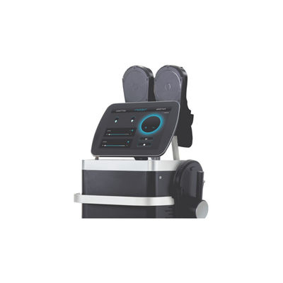 Ems-Schwarzes vertikale Culpt-Maschine Sculpt Neo-Körper Rfs HIEMT Maschine