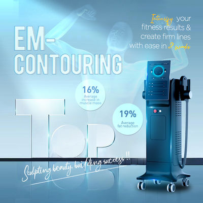 EMS-Maschine Preis EMS-Muskel-Körper-Skulpturmaschine / HF-Elektromagnetische Körper-EMS-Skulpturmaschine